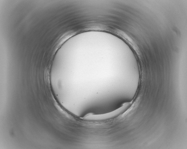 X0000115251433200911271855