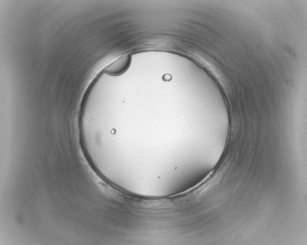 X0000115251434200911271855