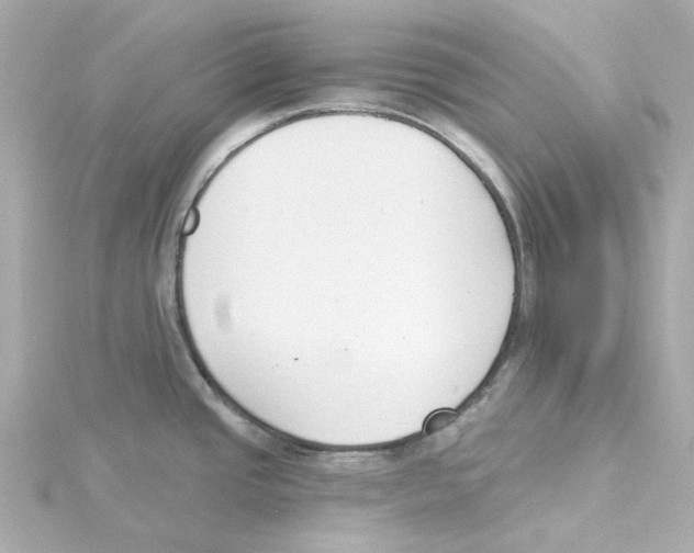 X0000115251437200911271855