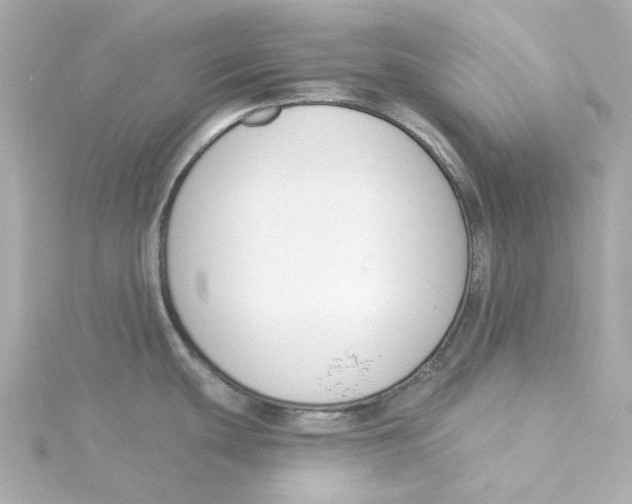 X0000115251439200911271855