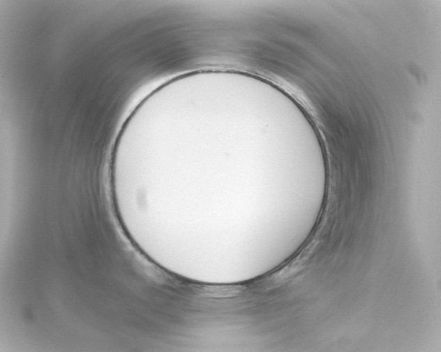 X0000115251440200911271855