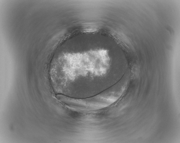 X0000115251441200911271854