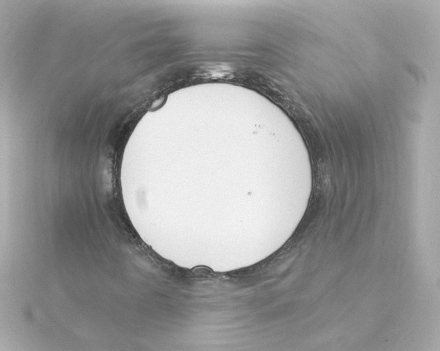 X0000115251442200911271854