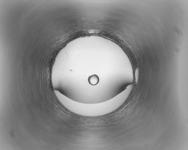 X0000115251443200911271854