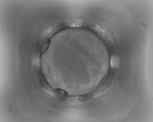 X0000115251444200911271854