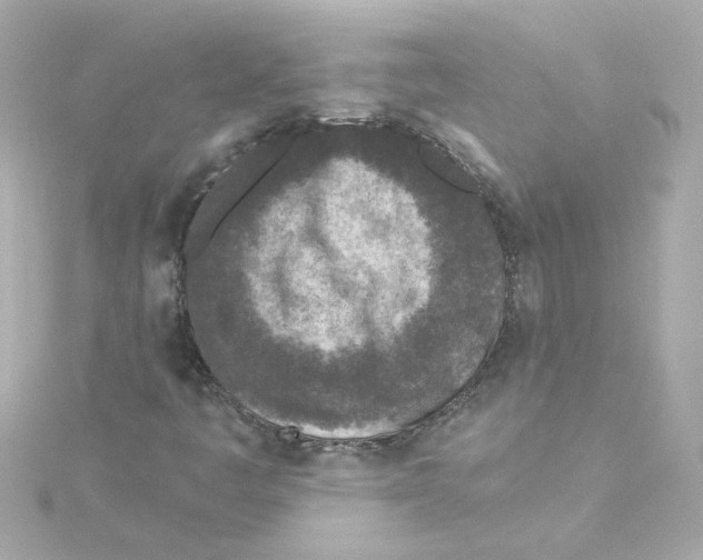 X0000115251445200911271854