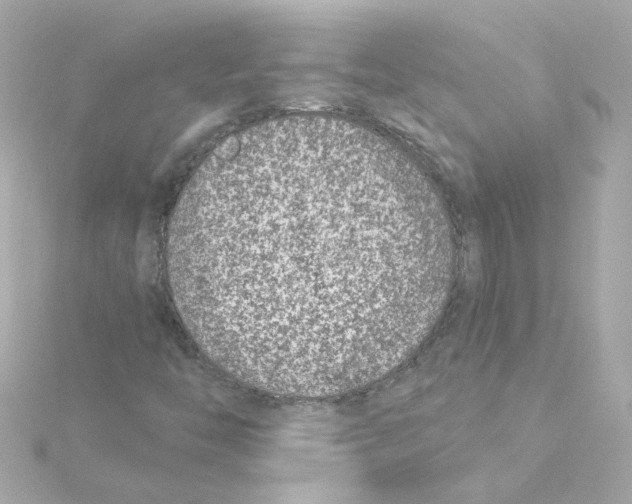 X0000115251446200911271854