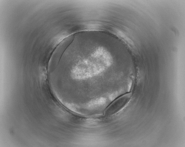 X0000115251449200911271854