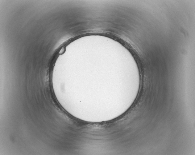 X0000115251450200911271854