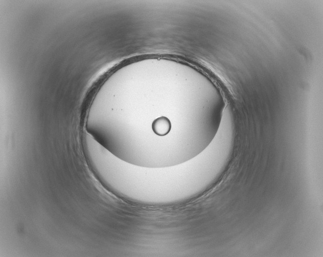 X0000115251452200911271854