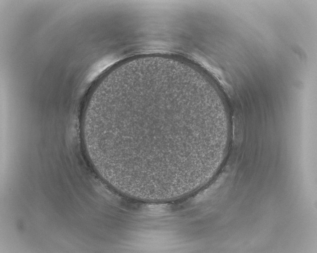 X0000115251453200911271854