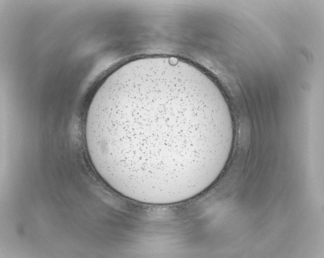 X0000115251454200911271854