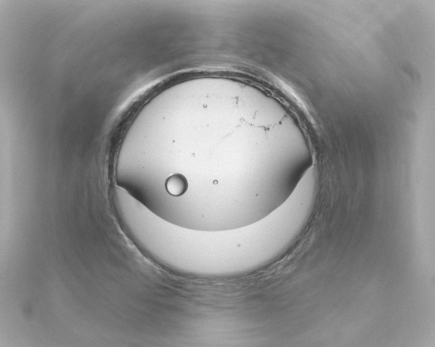 X0000115251456200911271854