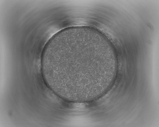 X0000115251457200911271854