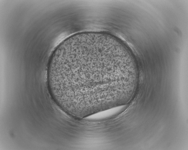 X0000115251459200911271854