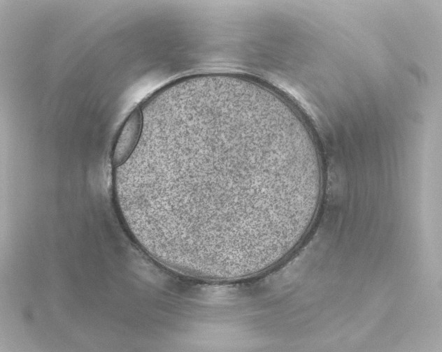 X0000115251461200911271854