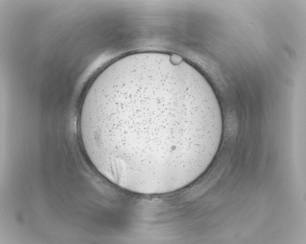 X0000115251462200911271854