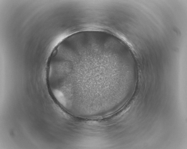 X0000115251463200911271854