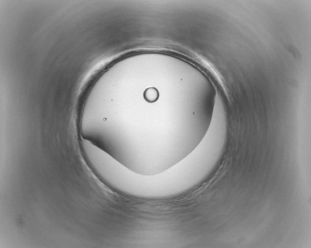 X0000115251464200911271854