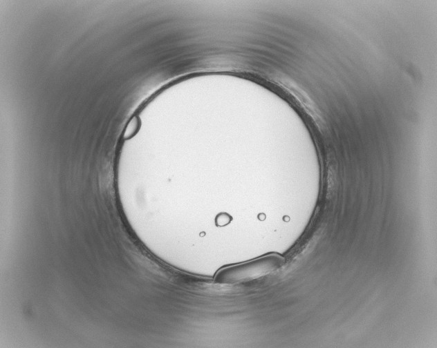 X0000115251465200911271854