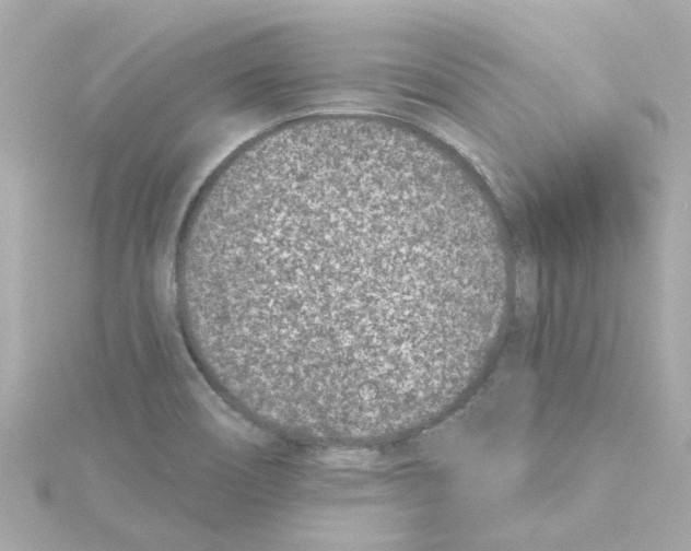 X0000115251466200911271854