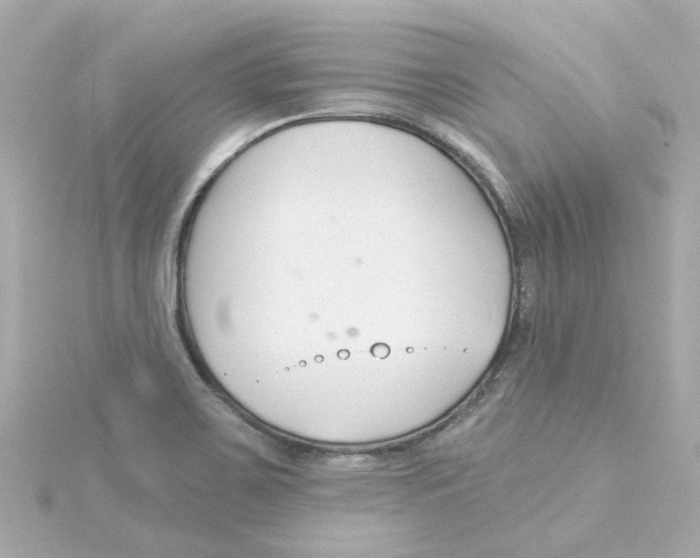 X0000115251467200911271854