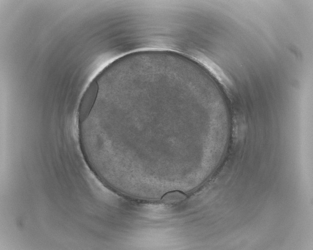 X0000115251468200911271854