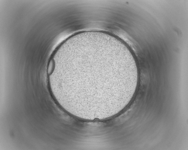 X0000115251469200911271854