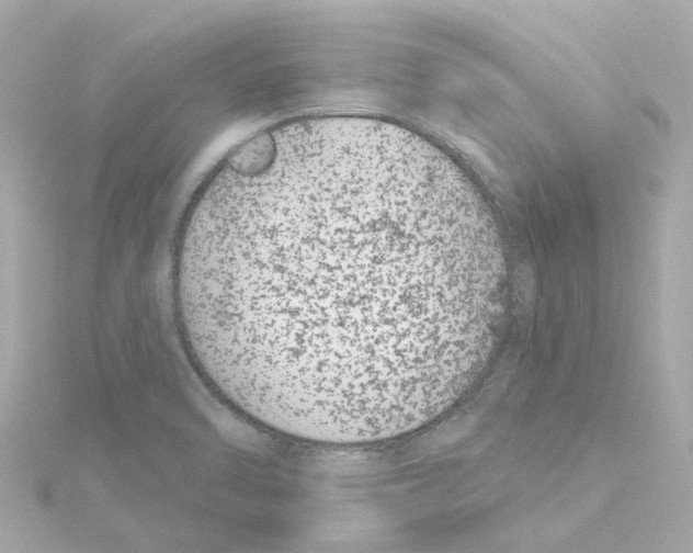 X0000115251470200911271854