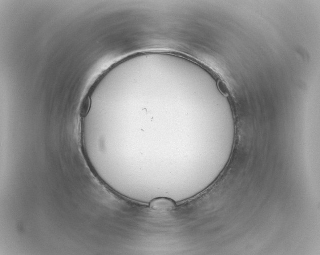 X0000115251472200911271854