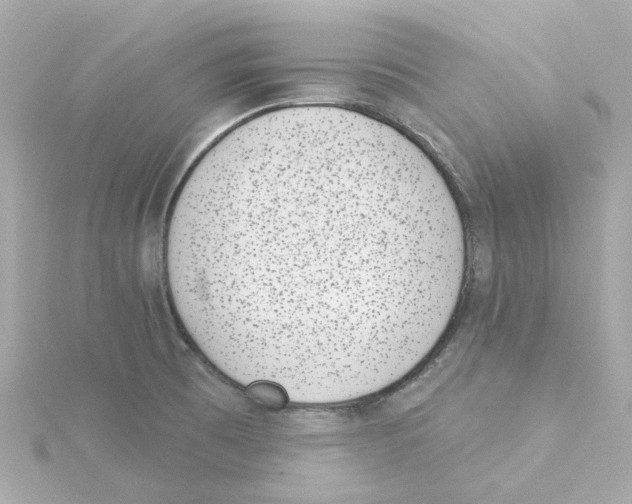 X0000115251473200911271854