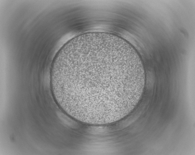 X0000115251474200911271854