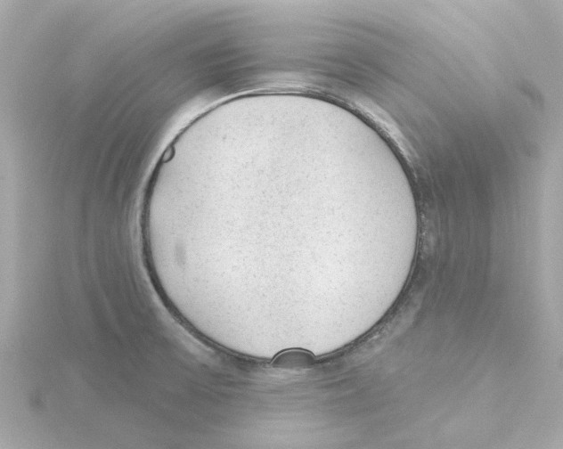 X0000115251475200911271854