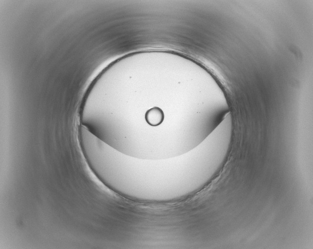 X0000115251476200911271854