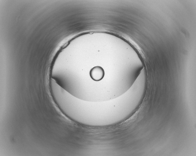 X0000115251477200911271854