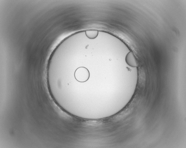 X0000115251478200911271854