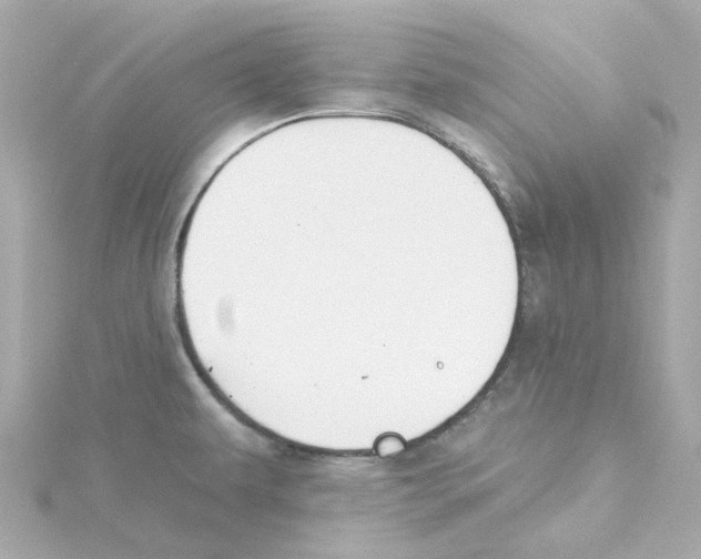 X0000115251479200911271854