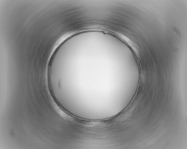 X0000115251482200911271853