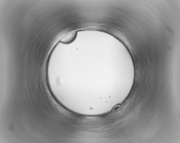 X0000115251483200911271853