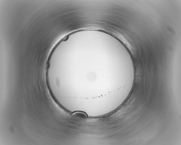 X0000115251484200911271853