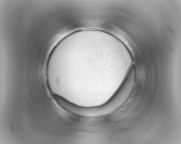 X0000115251485200911271853