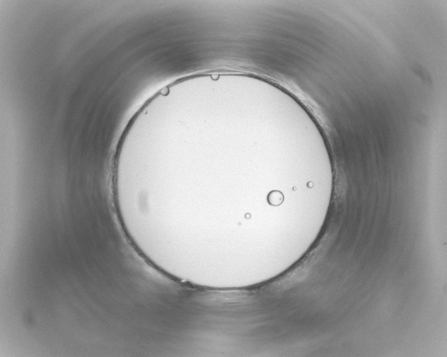 X0000115251486200911271853