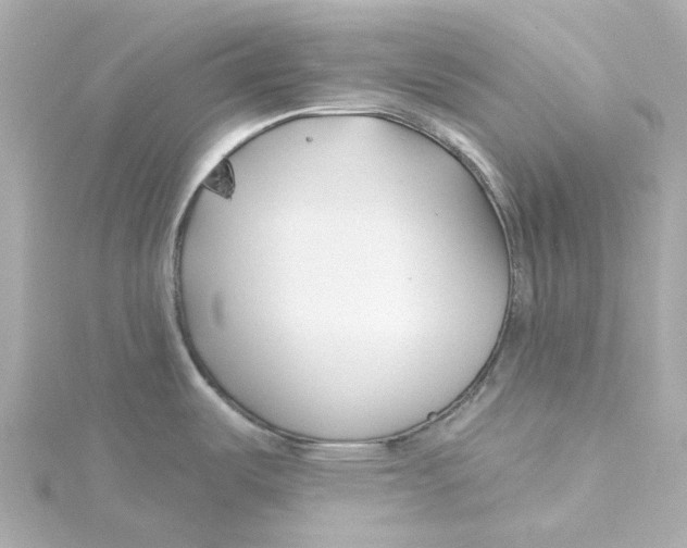 X0000115251487200911271853