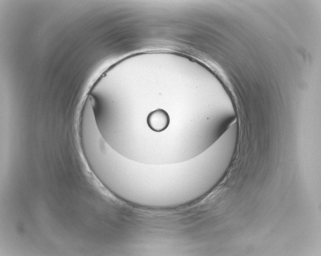 X0000115251488200911271853