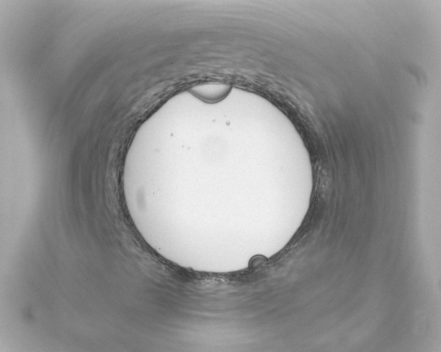 X0000115251489200911271853