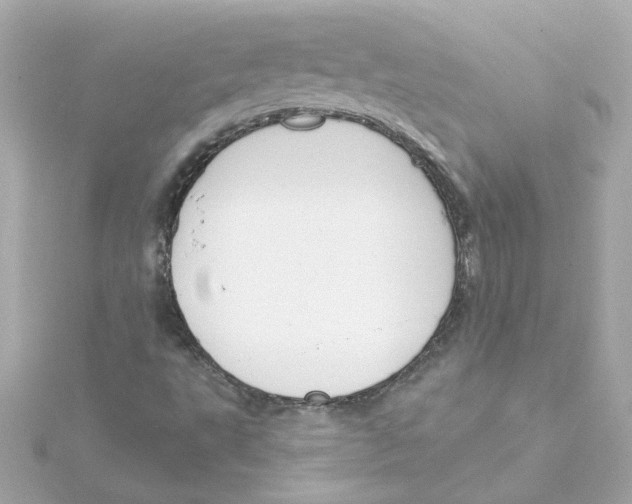 X0000115251495200911271853