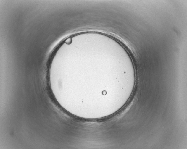 X0000115251502200911271853