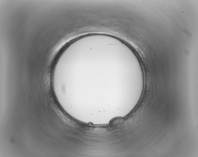 X0000115251503200911271853