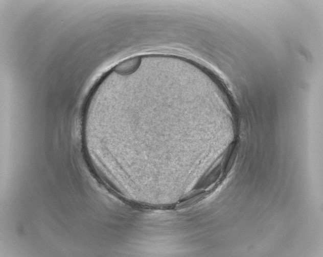 X0000115251506200911271853