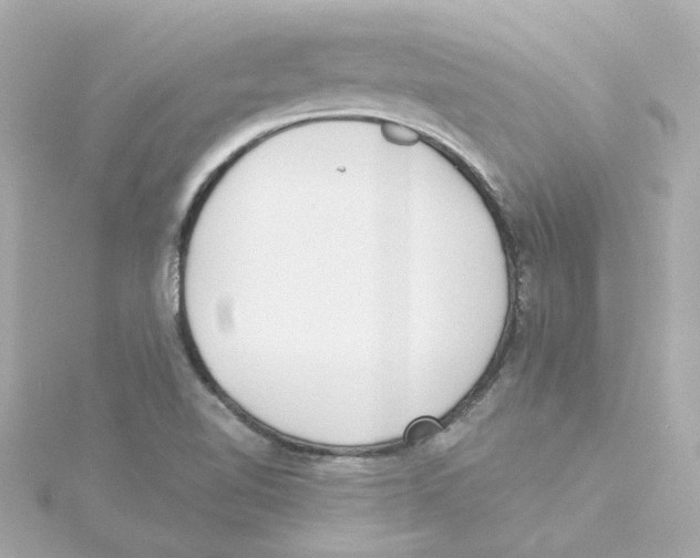 X0000115251510200911271853